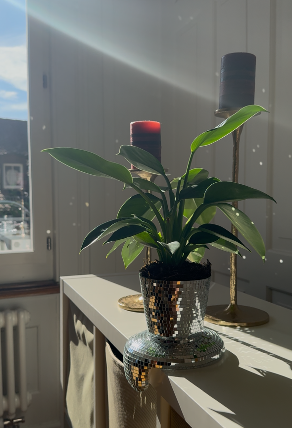 schmelzender Blumentopf