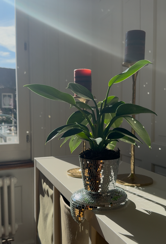 schmelzender Blumentopf